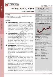 电子行业快评报告:国产光刻:星星之火,终将燎原