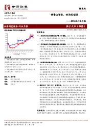 锂电池行业月报：销量高增长，短期需谨慎