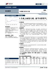 纺织服装双周报202101期：1月线上销售大增，春节消费景气