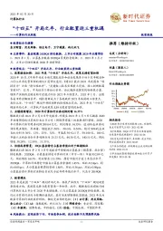计算机行业周报：“十四五”开局之年，行业配置迎三重机遇