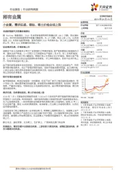 稀有金属行业-小金属:需求旺盛,锂钴、稀土价格全线上涨