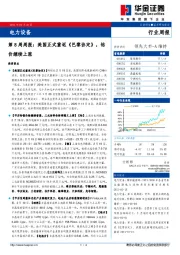 电力设备第8周周报：美国正式重返《巴黎协定》，钴价继续上涨