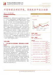 电子（半导体）：半导体重点项目齐发，高技术水平自立自强