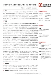 新能源行业动态点评：海南省印发《海南省清洁能源汽车推广2021年行动计划》