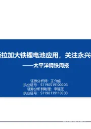 钢铁周报：特斯拉加大铁锂电池应用，关注永兴材料