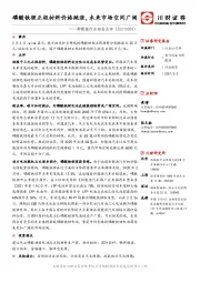 新能源行业动态点评：磷酸铁锂正极材料价格跳涨，未来市场空间广阔