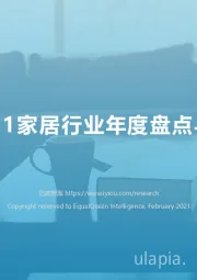 2020-2021家居行业年度盘点与趋势洞察