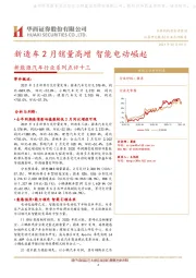新能源汽车行业系列点评十三：新造车2月销量高增智能电动崛起