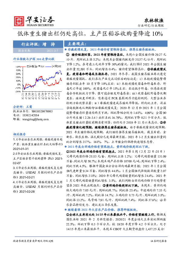 农林牧渔行业周报：低体重生猪出栏仍处高位，主产区稻谷收购量降逾10%