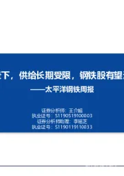 钢铁周报：“碳中和”背景下，供给长期受限，钢铁股有望迎来戴维斯双击