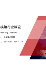 2021年中国液晶显示模组行业概览