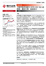 【粤开医药深度】HER2ADC渐入收获期，星辰大海，砥砺前行