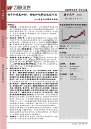 有色行业周观点报告：碳中和政策加持，钢铁和电解铝远近可观