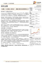 稀有金属-小金属：大众欲建6座电池厂，氢氧化锂价格有望持续上行