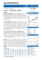 电气设备行业动态报告：TOPCon：PERC延续者，精进不休