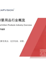 2021年中国母婴用品行业概览