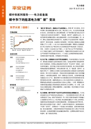 碳中和系列报告——电力设备篇：碳中和下的能源电力维“新”变法