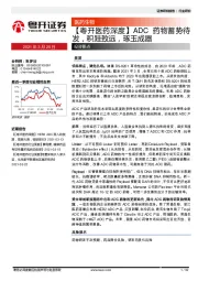 【粤开医药深度】ADC药物蓄势待发，积跬致远，琢玉成器