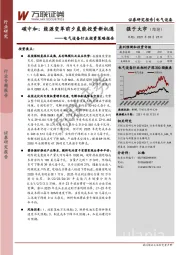 电气设备行业投资策略报告：碳中和：能源变革前夕氢能投资新机遇