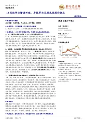 计算机行业:1-2月软件业增速可观,年报季白马股或迎股价拐点