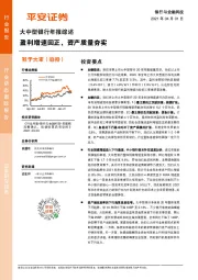 大中型银行年报综述：盈利增速回正，资产质量夯实