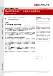 新材料&金属材料（钢铁）行业深度报告：钢铁压产势在必行，年度确定性投资机会