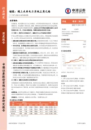 电气设备行业深度报告：储能：踏上未来电力系统主角之路