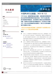中国汽车行业展望，2021年3月
