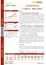 正极材料深度报告：三元路线主导，高镍化大势所趋