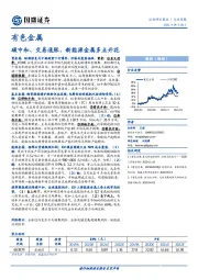 有色金属：碳中和、交易通胀、新能源金属多点开花