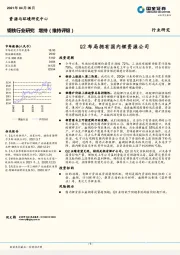 钢铁行业研究：Q2布局拥有国内锂资源公司