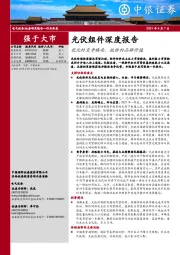 光伏组件深度报告：优化的竞争格局，低估的品牌价值