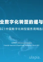 电子信息行业：2021中国数字化转型服务商精选目录