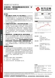 新能源汽车产业链行业：中游材料：锂电隔膜赛道依旧优异，长期亏损或不可持续！