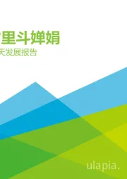 2021年中国商业航天发展报告：月中霜里斗婵娟