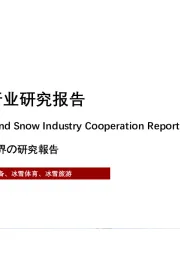 2021年中国冰雪行业研究报告