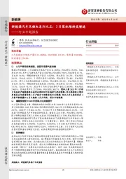 新能源行业专题报告-新能源汽车及锂电系列之五：3月装机维持高增速