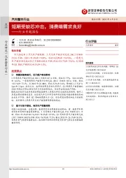 汽车整车行业专题报告：短期受缺芯冲击，消费端需求良好