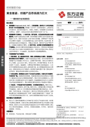 玻尿酸行业深度报告：黄金赛道，终端产品市场潜力巨大