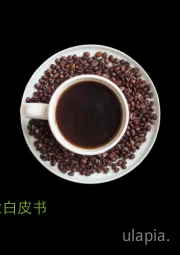 中国现磨咖啡行业白皮书
