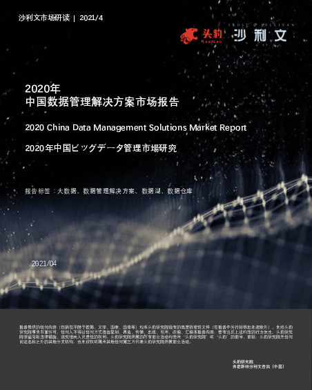 2020年中国数据管理解决方案市场报告