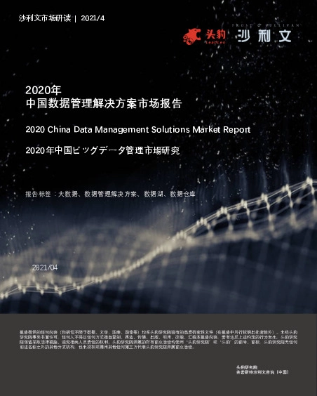 2020年中国数据管理解决方案市场报告