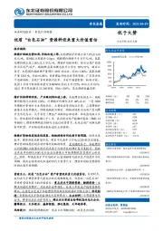 有色行业周报：优质“白色石油”资源料迎来重大价值重估