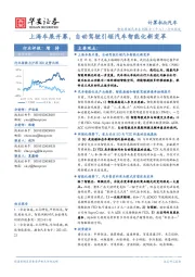 智能网联汽车系列报告（十二）：上海车展开幕，自动驾驶引领汽车智能化新变革