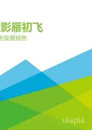 2021年中国养老服务发展报告：江涵秋影雁初飞