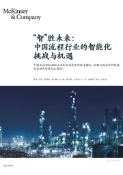 流程行业：“智”胜未来：中国流程行业的智能化挑战与机遇