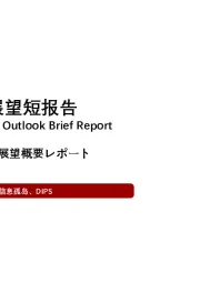 计算机：2021年中国DCS展望短报告