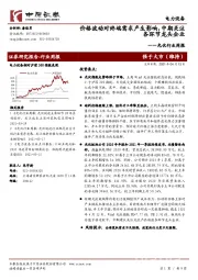 光伏行业周报：价格波动对终端需求产生影响，中期关注各环节龙头企业