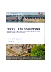 中国小水电的发展与投资