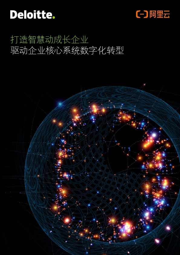 信息技术：打造智慧动成长企业-驱动企业核心系统数字化转型